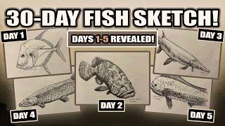 30 Day Fish Drawing Challenge: Day 1-5 Timelapse | Fish Art