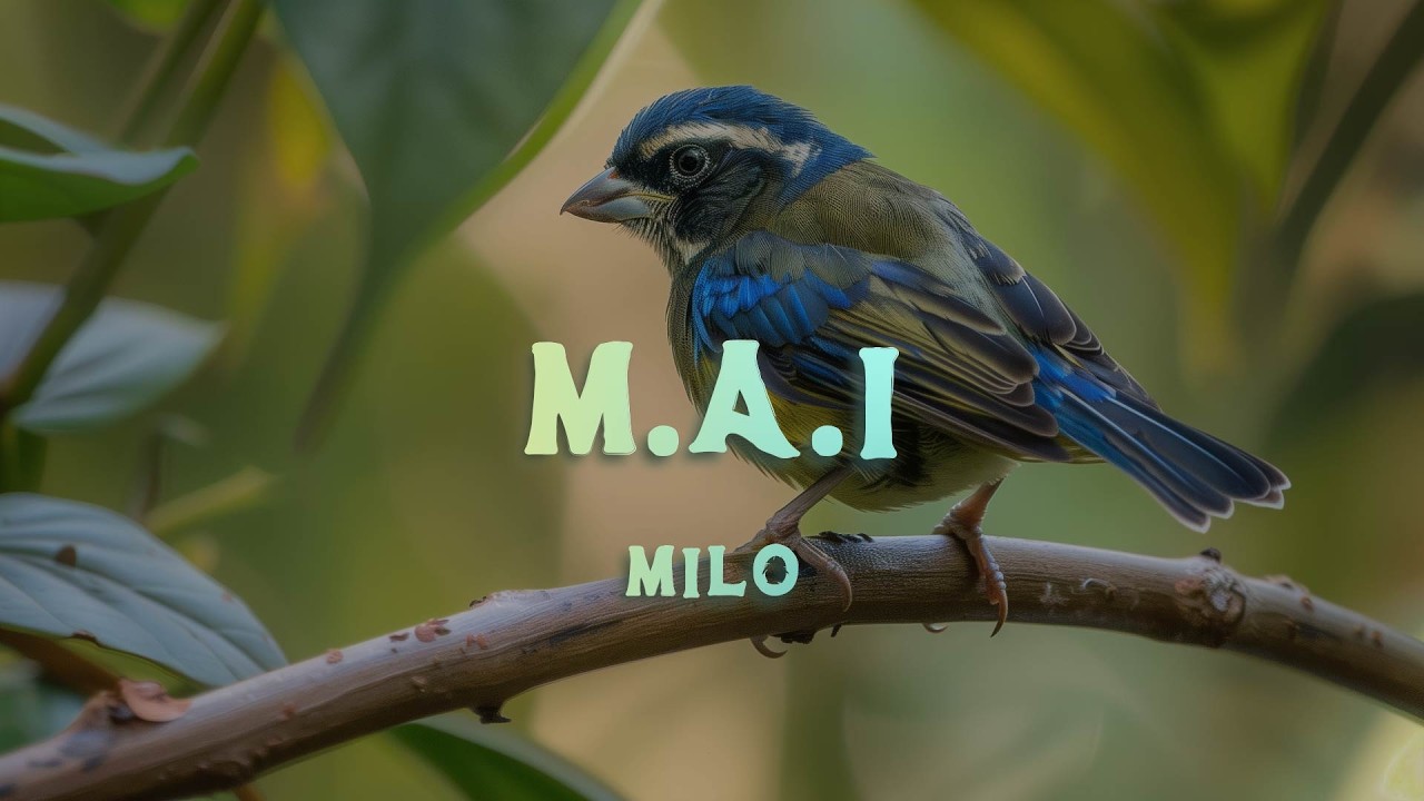 MILO J - M.A.I