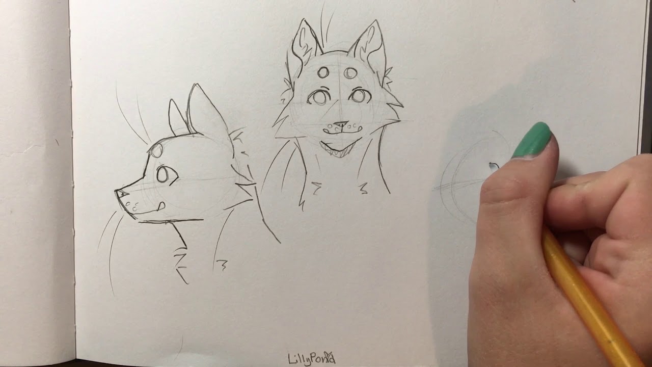 How to Draw Cat Headshots: My Way! - YouTube