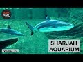 SHARJAH AQUARIUM, UAE.