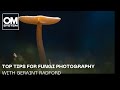 Top Tips for Fungi Photography with OM SYSTEM Ambassador Geraint Radford