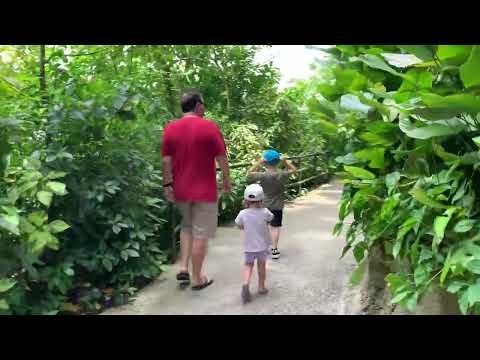 A day at the singapore Zoo with boseng @RovelynAsuncionvlog