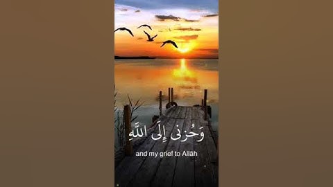 "إنما أشكو بثي وحزني إلى الله | تلاوة خاشعة تلامس القلوب 💔