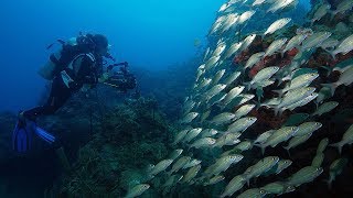 Dive & Dine at Four Seasons Nevis