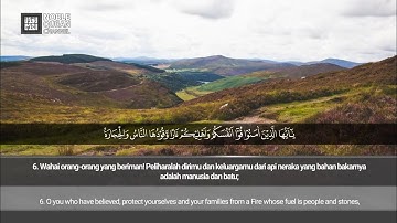 [066] Surah At-Tahrim [Full] - Okasha Kameny | سورة التحريم (كاملة) - عكاشة كميني