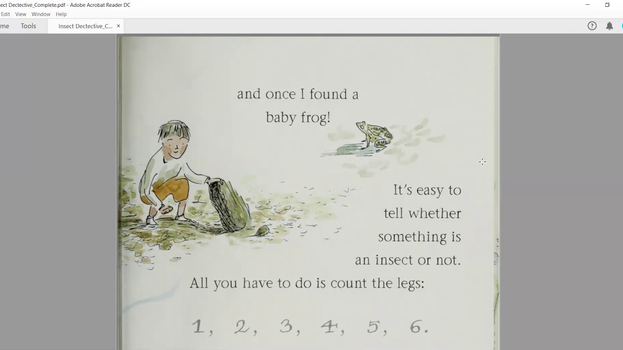 Making Meaning: Insect Detective Read Aloud