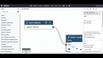 Galaxy 22.05 - Workflow Zooming