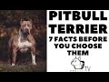 Before you buy a dog - PITBULL TERRIER - 7 facts to consider!  DogCastTV!