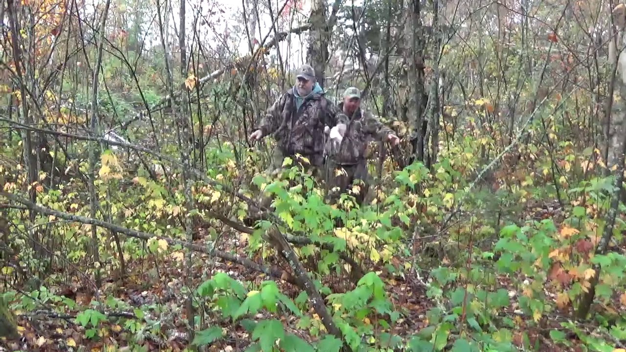 Aus über 50 ontario