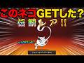 トイレットパーパーネコをもうGETした！？正体不明の謎のキャラクター知ってる？正答率1％のこのネコ誰だクイズが難しすぎた！？にゃんこ大戦争の豆知識が面白すぎた！にゃんこ大戦争