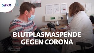 Genesenen-Blutplasma gegen Corona | Rundum gesund