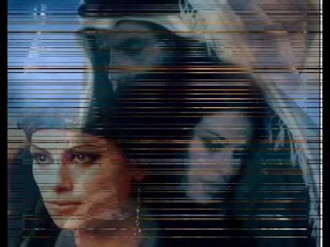 الوافي في الناس راشد الماجد 