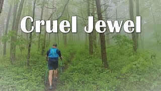 Rainy Trail Run  Cruel Jewel 50 miles Ultra Marathon (2023)