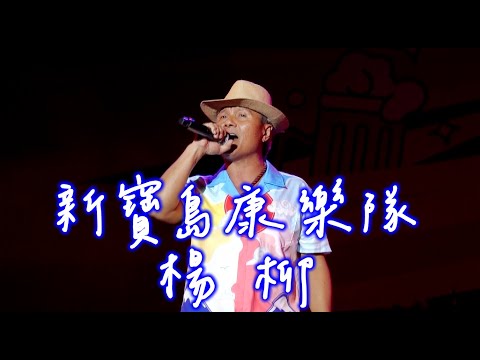 新寶島康樂隊-楊柳20250816