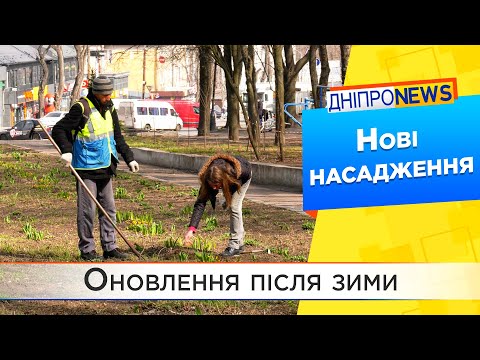 Міські парки розквітнуть, не дивлячись на війну