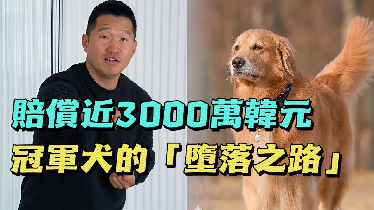 丈夫不顧妻子反對養狗，不僅讓妻子斷掉5根肋骨，還賠償了近3000萬韓元，訓犬師怒斥：無能的你才是罪魁禍首！