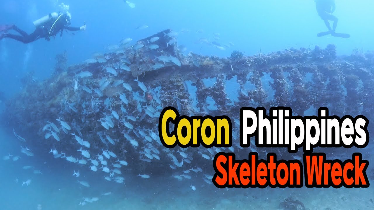 Coron 코론 팔라완  스쿠버 다이빙 (1)  Skeleton Wreck 포인트 2026/1/22