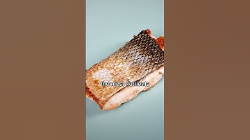 You Deserve Better Pans | Taima Titanium