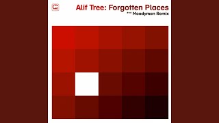 Forgotten Places (Felix Laband Remix)