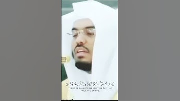 يَا عبَادِ لَا خَوفٌ عَلَيْكم الْيومَ وَلَا أَنتمْ تَحزنُونَ - تلاوة خاشعة - القارئ: ياسر الدوسري.