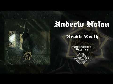 Andrew Nolan - Needle Teeth