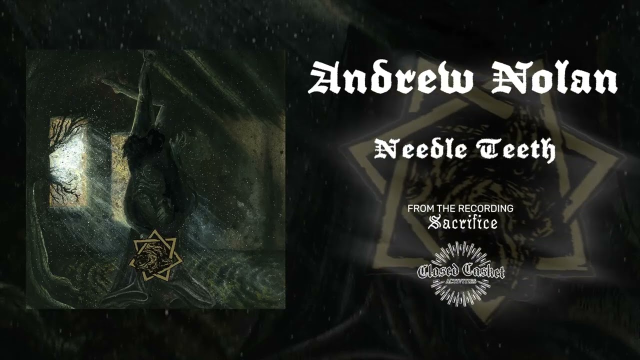 Watch Andrew Nolan - Needle Teeth on YouTube Watch Andrew Nolan - Needle Teeth on YouTube