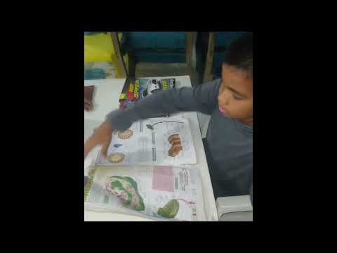 Jugando a la escuela