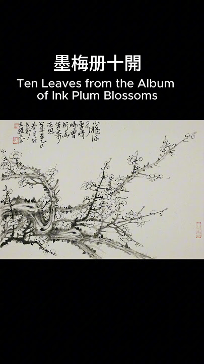 Mr. Wang Yi's Ten Leaves from the Album of Ink Plum Blossoms