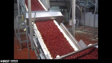 Rehydrated bean sorting machine - TOMRA sorting