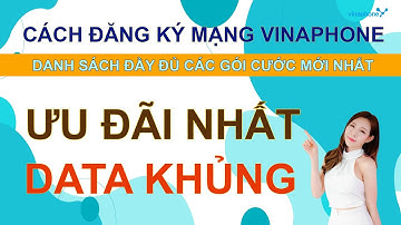 Cách đăng ký mạng vina danh sách đầy đủ các gói cước mới nhất
