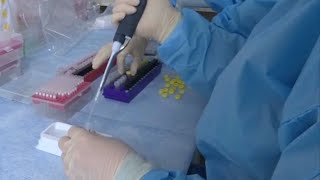 Chinese scientists discover human monoclonal antibodies block coronavirus infection