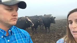 Why do cattle get transported? How do we make sure that we do it with integrity?