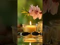 Relaxing Piano to Reduce Anxiety and deep sleep | Enchanted Music