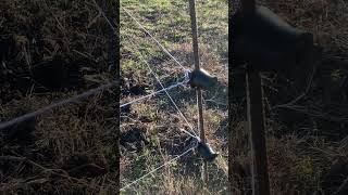 How We Connect Our Poly Wire