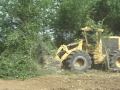 Site Preparation: Mulching 2