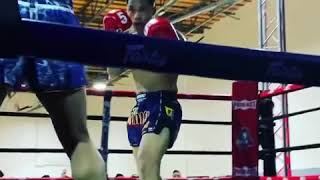 The Mongkol Pro Boxing Gloves No5