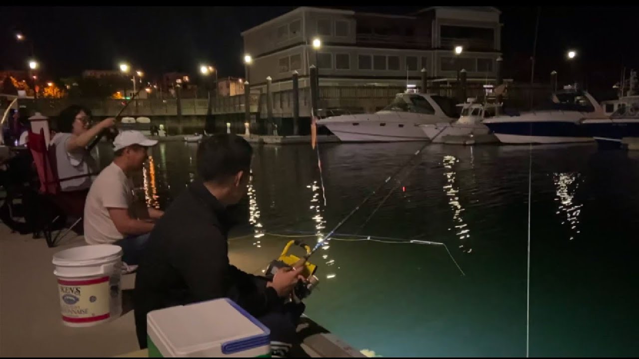 Squid fishing at Beverly Pier, MA (7/8, 2022)