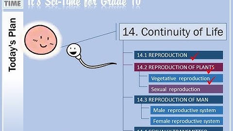 Grade 10_Unit 14 Reproduction_Part 3 640p