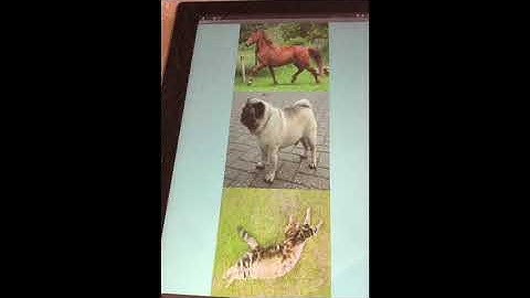 CSP Soundboard Project: Alexa Cross