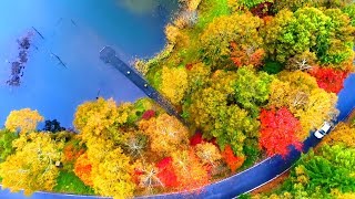 4K映像 絶景ドローン空撮「秋 紅葉の女神湖 白樺高原」日本の美しい四季 長野県立科町 10月下旬 空中散歩 八ヶ岳山麓 自然風景