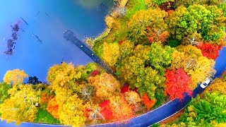 4K映像 絶景ドローン空撮「秋 紅葉の女神湖 白樺高原」 空中散歩 八ヶ岳山麓 癒し自然 Drone Japan Nature Relaxation Lake Autumn aerial Cruise