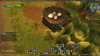 Bringt mir das Ei! (WOW Quest) / Bring me the egg!