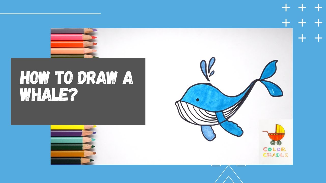 How to draw a Whale for kids | Simple step by step easy Whale drawing