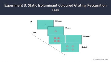 PSYC59 Youtube Assignment