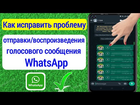 Как исправить проблему с отправкой голосовых сообщений WhatsApp (2023)