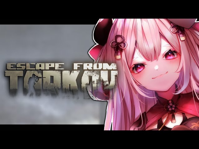 【タルコフ】タスクやるよ Lv.46～のサムネイル