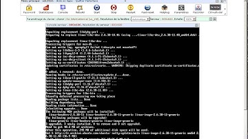 [QEMU/KVM/PXE] Installation d un serveur ubuntu 11.04 x86_64 automatiquement