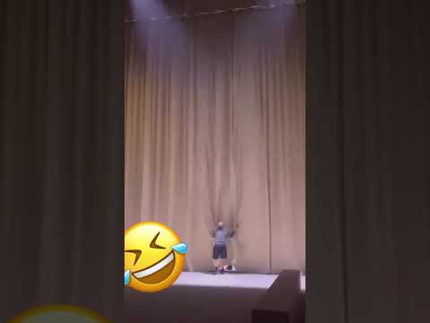 the best Twerk ever #funny #viral #animals #dog #pets #cat #twerk #dance #catdance