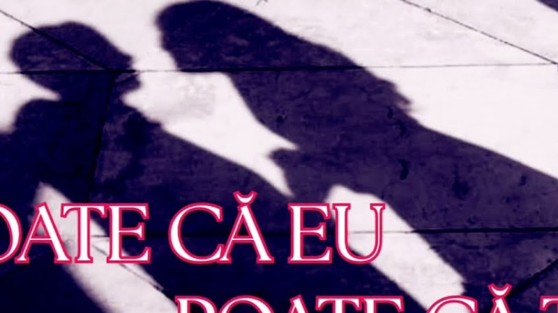 ,,Poate Că Eu... Poate Că Tu..."- Versuri Dan Lăpuște. Muzică Și Voce Suno Al.