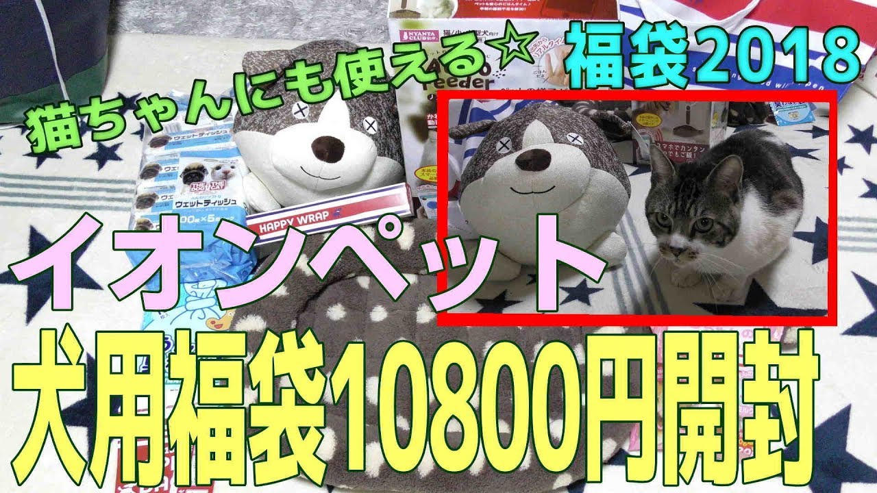 イオンペット 犬用福袋18開封 猫ちゃんでも使える超お得な福袋の中身を紹介 中身バレ ネタバレ ペット用品 猫と一緒に商品紹介 Youtube イオンペット 犬用福袋18開封 猫ちゃんでも使える超お得な福袋の中身を紹介 中身バレ ネタバレ ペット用品 猫と一緒に商品紹介 Youtube